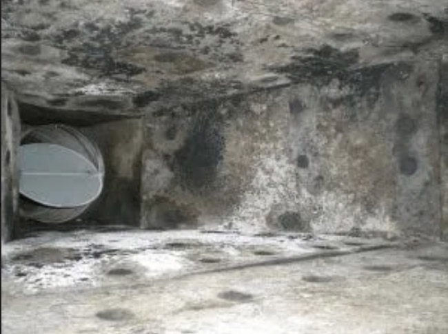 Mold in Ductwork