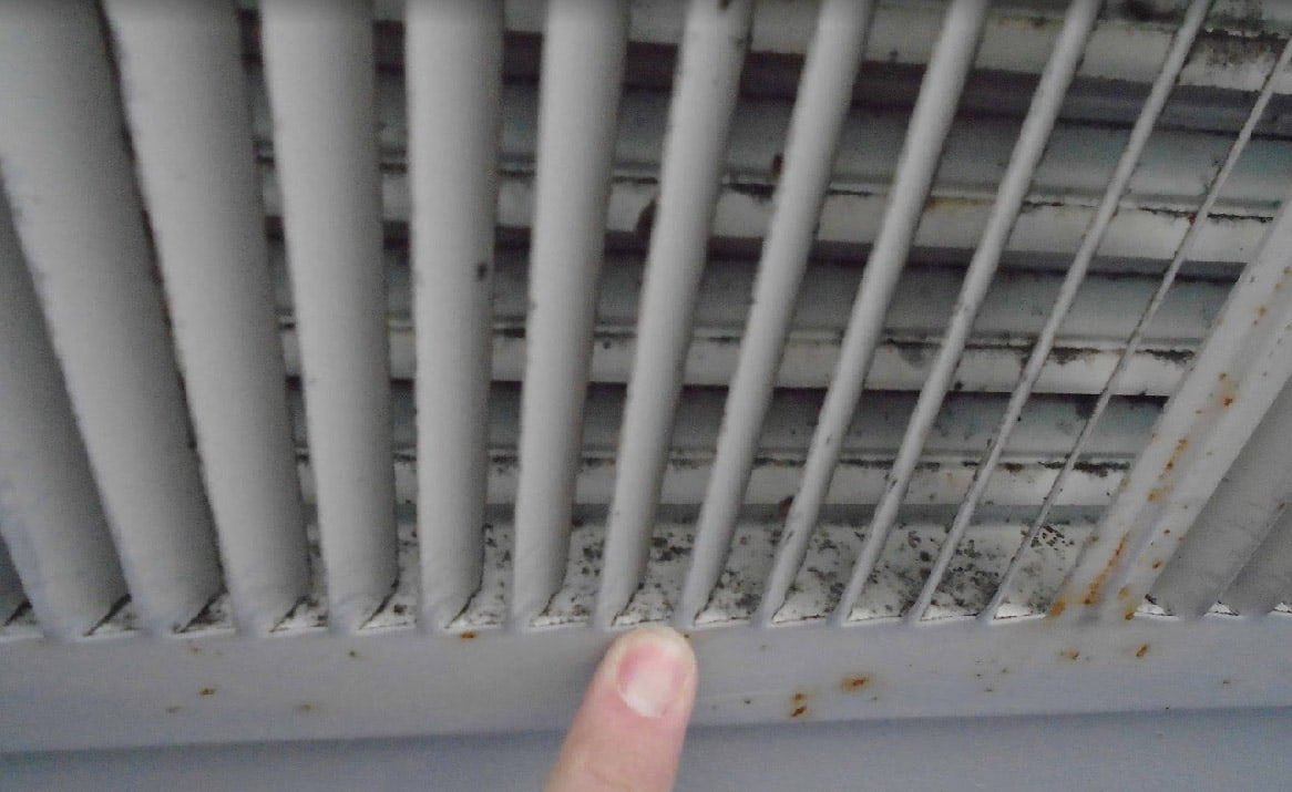 Mold in the Vents in your home